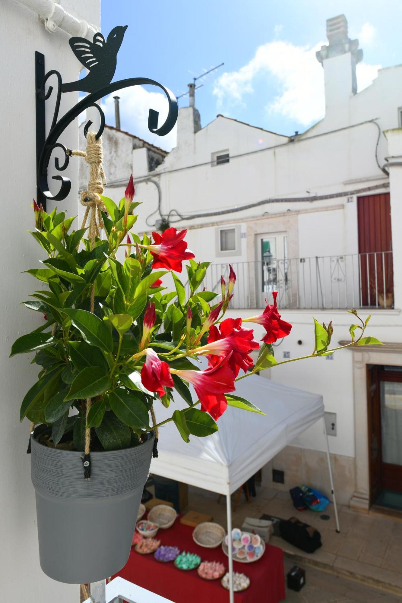 Ferienwohnung La Scala Del Borgo Cisternino Exterior foto
